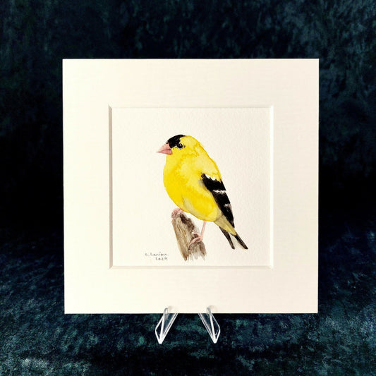 Original Watercolour_American Goldfinch (1)