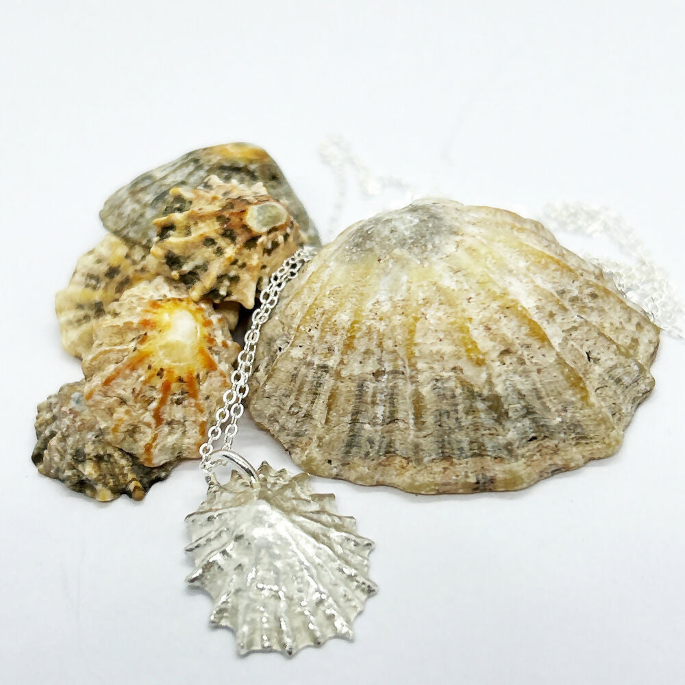 Silver Isle of Arran Limpet Shell Necklace