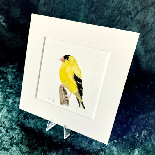 Original Watercolour_American Goldfinch (2)