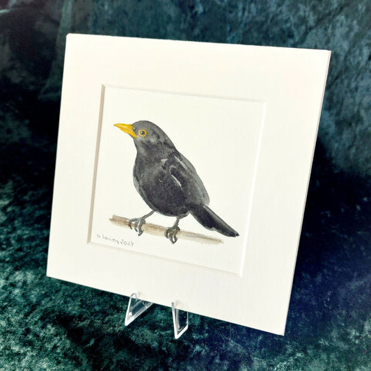 Original Watercolour_Blackbird (2)