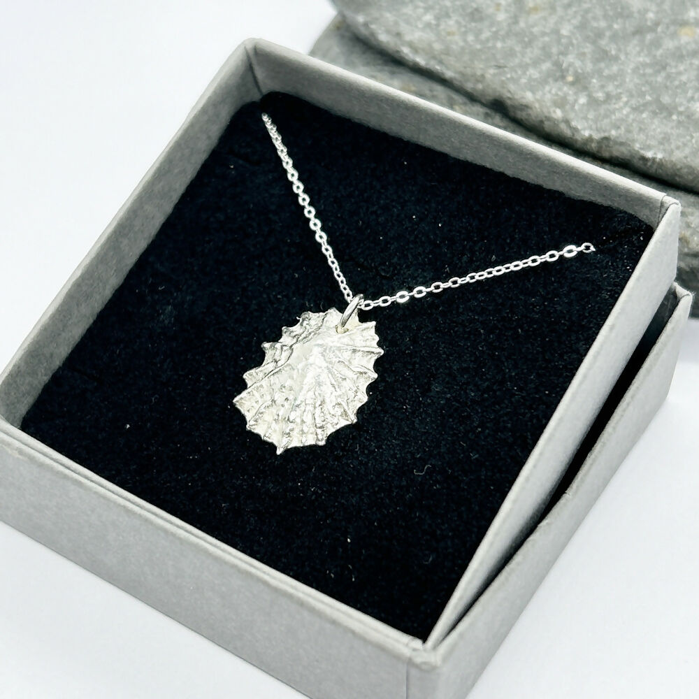 Silver Isle of Arran Limpet Shell Necklace