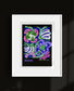 Alyssum Art Print - Unframed