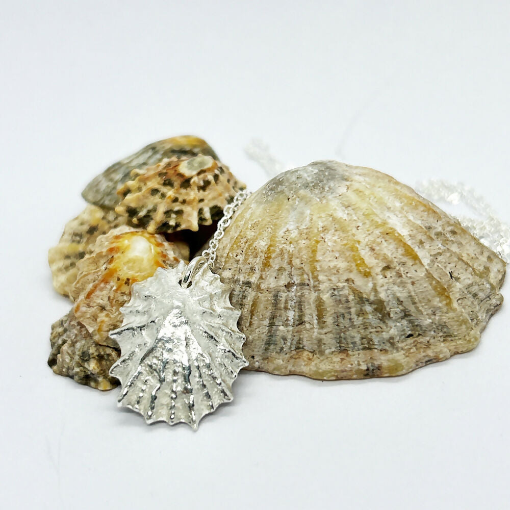 Silver Isle of Arran Limpet Shell Necklace