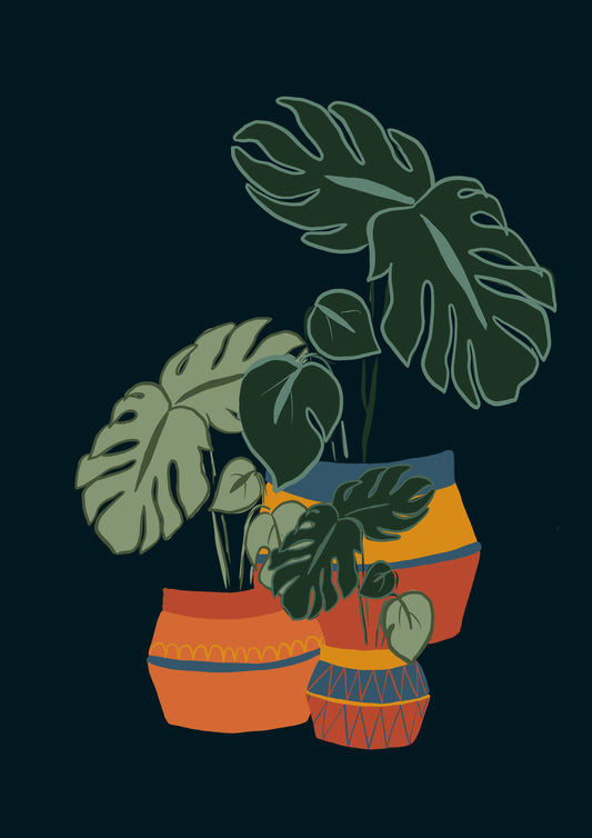 Monstera